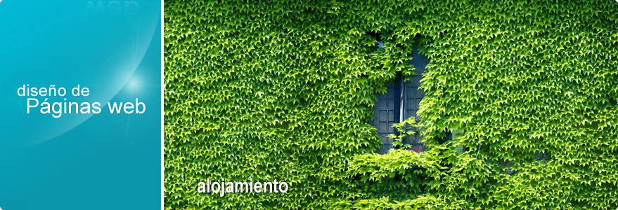 Imagen de cabecera del apartado Alojamiento web de CírculoWeb - Diseño y desarrollo web. Imagen de la fachada de una casa de campo cubierta de hiedra. La fotografía muestra una ventana semi cubierta por la hiedra. La foto incluye los textos: diseño de Páginas web y Alojamiento web