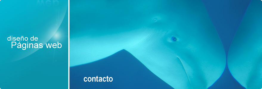 Imagen de cabecera del apartado Contacto del sitio web de CírculoWeb - Diseño y desarrollo web. Fotografía submarina - detalle de la cabeza de dos delfines calderón. La foto incluye los textos: diseño de Páginas web y Contacto
