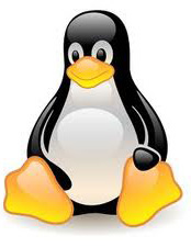 Sistema Operativo Linux